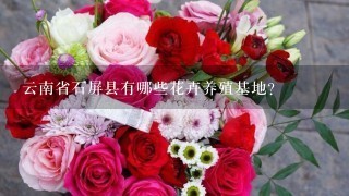 云南省石屏县有哪些花卉养殖基地？
