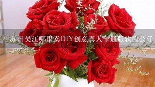 苏州吴江哪里卖DIY创意真人卡通版软陶公仔