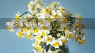 鲜花公主优美语句？