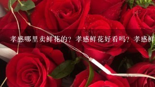 孝感哪里卖鲜花的？孝感鲜花好看吗？孝感鲜花品种多吗？孝感鲜花是从哪里进的啊？