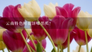 云南特色鲜花饼哪里买？