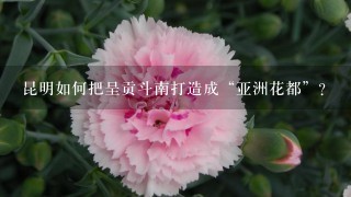 昆明如何把呈贡斗南打造成“亚洲花都”？