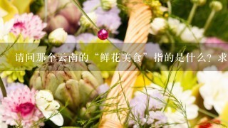 请问那个云南的“鲜花美食”指的是什么？求大神告知