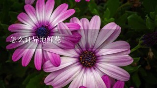 怎么订异地鲜花！