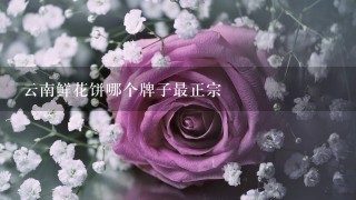 云南鲜花饼哪个牌子最正宗