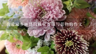 我爱家乡林县的桃花谷描写景物的作文