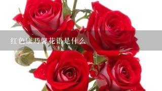 红色康乃馨花语是什么