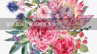 流星花园鲜花品种有多少？