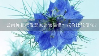 云南鲜花批发那家比较靠谱？花价比较便宜？而且服务