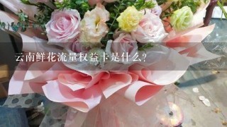 云南鲜花流量权益卡是什么？