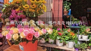 云南人为什么爱吃花，哪些花是可以吃的？