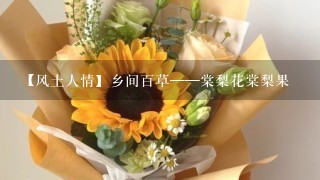 【风土人情】乡间百草——棠梨花棠梨果