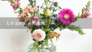 七彩金鹂云南鲜花饼