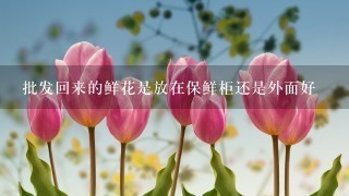 批发回来的鲜花是放在保鲜柜还是外面好