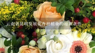 云南省昆明发展花卉种植业的地理条件