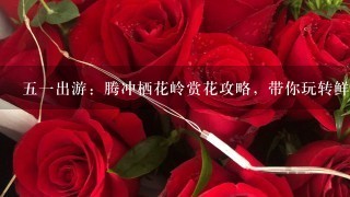 五一出游：腾冲栖花岭赏花攻略，带你玩转鲜花节