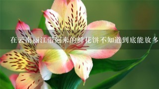 在云南丽江带回来的鲜花饼不知道到底能放多久，它