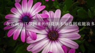 在云南丽江带回来的鲜花饼不知道到底能放多久，它？