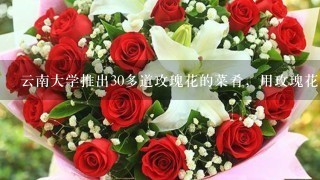 云南大学推出30多道玫瑰花的菜肴，用玫瑰花能做哪些