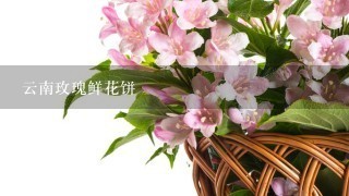 云南玫瑰鲜花饼