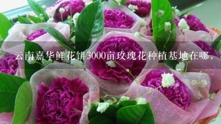 云南嘉华鲜花饼3000亩玫瑰花种植基地在哪，我在网上查了查大概在曲靖市马龙县，求具体位置，要离昆明