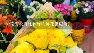 云南有没有比较好的鲜花供应商？