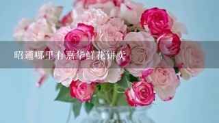 昭通哪里有嘉华鲜花饼卖