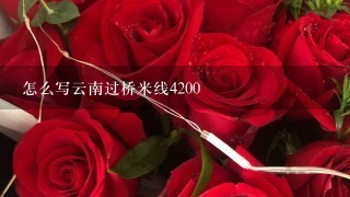 怎么写云南过桥米线4200