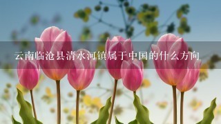 云南临沧县清水河镇属于中国的什么方向