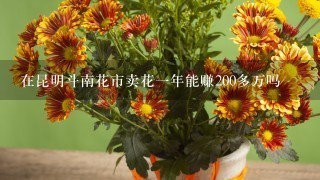 在昆明斗南花市卖花一年能赚200多万吗