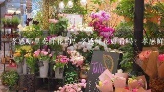 孝感哪里卖鲜花的？孝感鲜花好看吗？孝感鲜花品种多吗？孝感鲜花是从哪里进的啊？