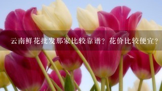 云南鲜花批发那家比较靠谱？花价比较便宜？而且服务