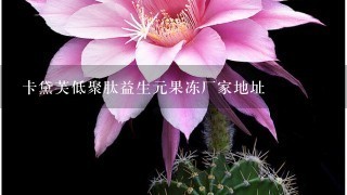 卡黛芙低聚肽益生元果冻厂家地址