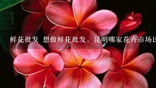 鲜花批发 想做鲜花批发，昆明哪家花卉市场比较好？