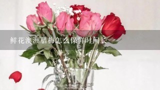 鲜花澳洲腊梅怎么保鲜时间长