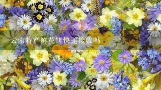 云南特产鲜花饼快递接收吗