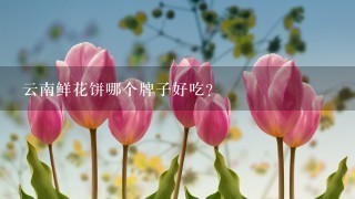 云南鲜花饼哪个牌子好吃？