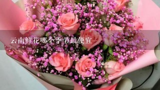 云南鲜花哪个季节最便宜