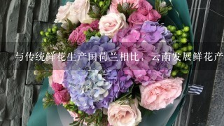 与传统鲜花生产国荷兰相比，云南发展鲜花产业最大的优势是( )