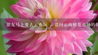 朋友马上要去云南玩 ，请问云南鲜花市场的位置和介绍?急!