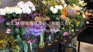 丽江200亩玫瑰花滞销，你怎么看？