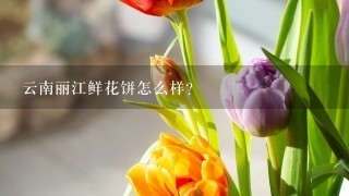 云南丽江鲜花饼怎么样？