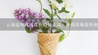 云南昆明玫瑰花价持续走高，导致玫瑰花价格上涨的原