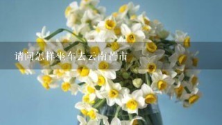 请问怎样坐车去云南芒市