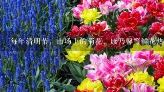 每年清明节，市场上的菊花、康乃馨等鲜花热销，菊花的价格成倍上涨。引起这种现象的直接原因是