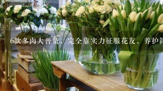 6款多肉大普货，完全靠实力征服花友，养护简单出状