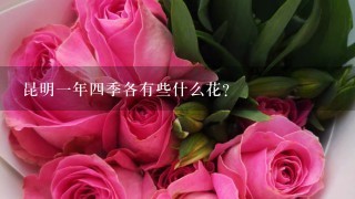 昆明一年四季各有些什么花？