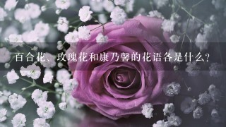 百合花、玫瑰花和康乃馨的花语各是什么？