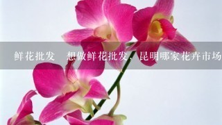 鲜花批发 想做鲜花批发，昆明哪家花卉市场比较好？