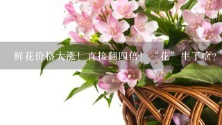 鲜花价格大涨！直接翻四倍！“花”生了啥？